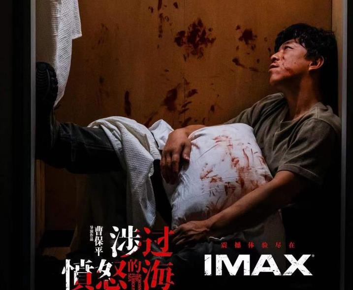 王钢赞《涉过愤怒的海》IMAX视觉体验，观众被细节与演员表演打动